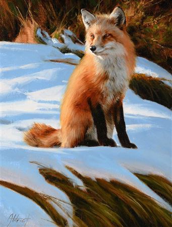 Fox