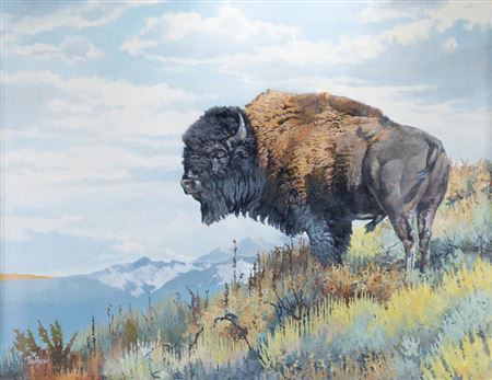 Lone Buffalo by Edward DuRose - Auction record, sale price, and art valuation. Compare with similar artists and explore comparable artworks.