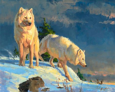 The Nomads