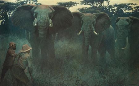 Twilight Trophy - Elephant by John Seerey-Lester - Auction record, sale price, and art valuation. Compare with similar artists and explore comparable artworks.
