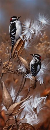 Downy Woodpeckers