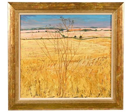 Harvest Field Late Summer Evening