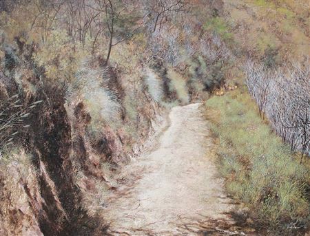 A Journey from Ijen Crater (Perjalanan Dari Kawah Ijen), 2004