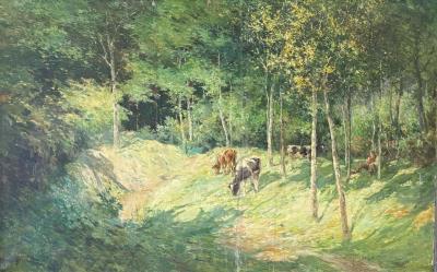 Cows drinking at the edge of the woods