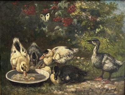 Ducks drinking