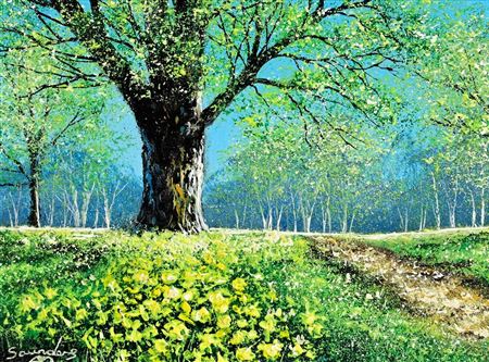 Daffodil Meadow
