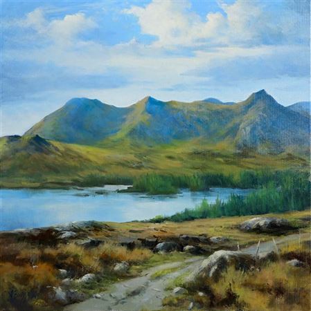 The Old Bog Road, Connemara