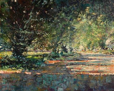 Evening Shadows