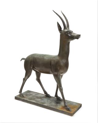 Gazelle