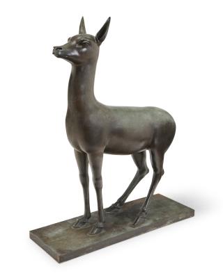 Gazelle doe