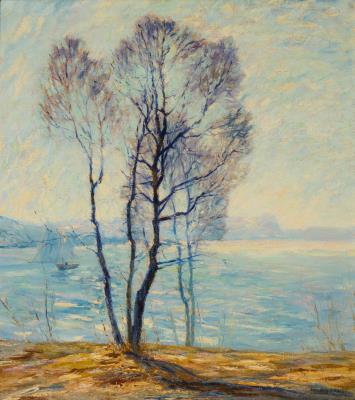 Coastal view with trees and boat