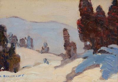 Snowy landscape