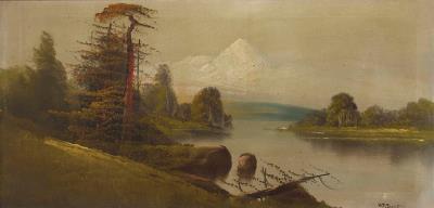Lakeside landscape