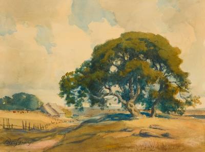 Cattle Ranch