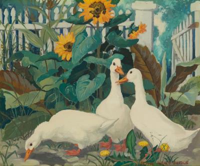 Ducks