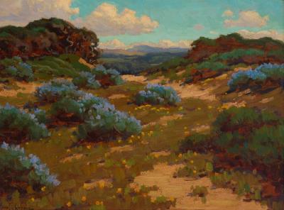 Bush Lupine, Seaside