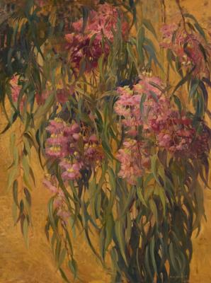 Red Eucalyptus Blossoms