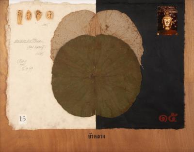 Plants and Heads - a siamese Herbarium by Rainer Wittenborn - Auction record, sale price, and art valuation. Compare with similar artists and explore comparable artworks.