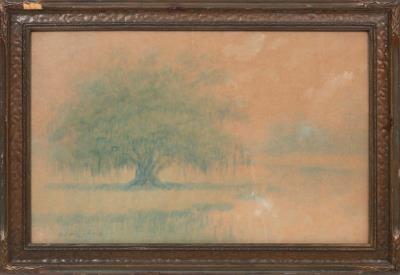 Live Oak on a Bayou