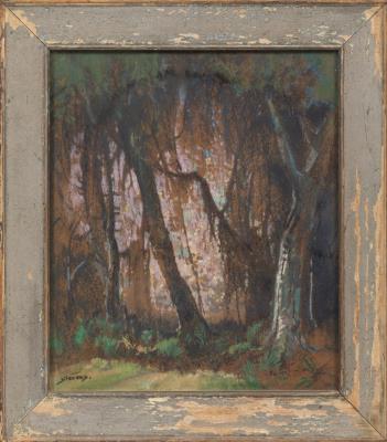 Swamp Scene