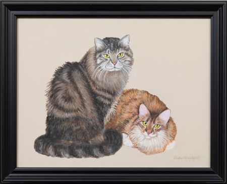 Boy and Miss Purrrrfect