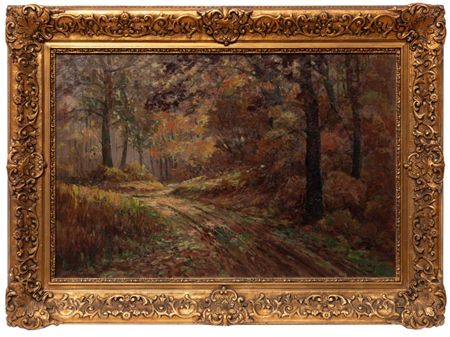 Path through a Sunlit Forest