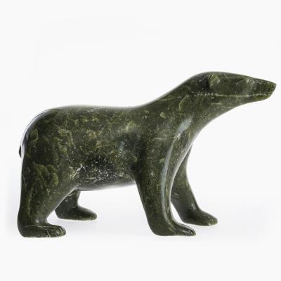 A Polar Bear