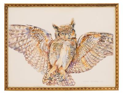 Owl