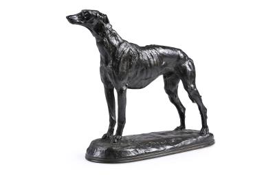 Greyhound