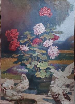 Geranium and doves outdoors