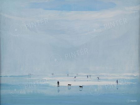 Skaters on Lake Balaton