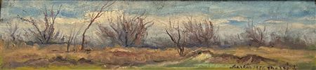 Abandoned Orchard