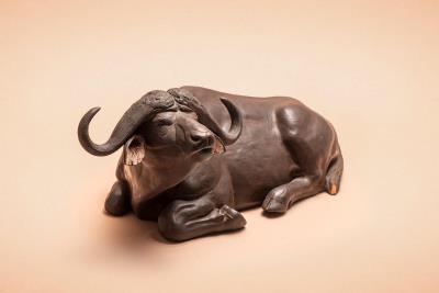 Bufalo