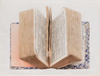 Dictionary by Dan Liu - Auction record, sale price, and art valuation. Compare with similar artists and explore comparable artworks.