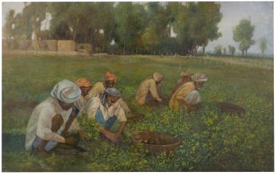 Untitled (Potato Harvest)