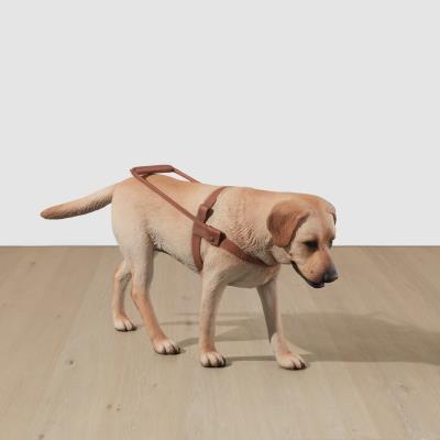 Stray Dog by Tony Matelli - Auction record, sale price, and art valuation. Compare with similar artists and explore comparable artworks.