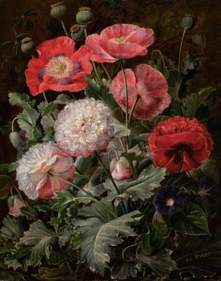 Bouquet of Poppies, Peonies, and Bindweeds