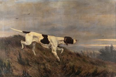 Hunting Dog on the Hill