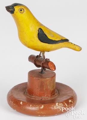 Bird