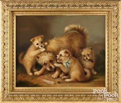 Dog and Pups