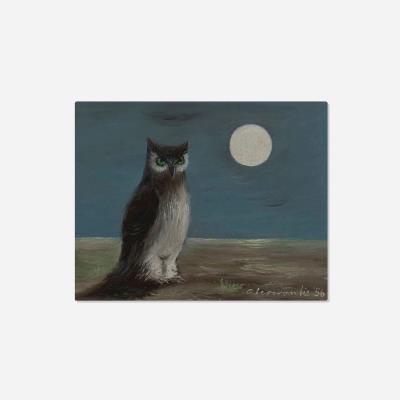 Little Owl and Moon