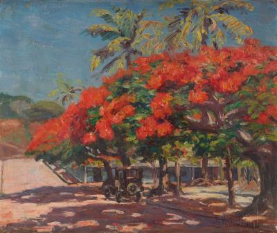 Flamboyants, Nouméa, 1934