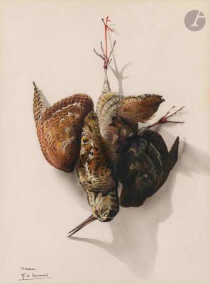 Woodcock