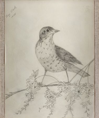 Untitled (bird) by Tony Clark - Auction record, sale price, and art valuation. Compare with similar artists and explore comparable artworks.