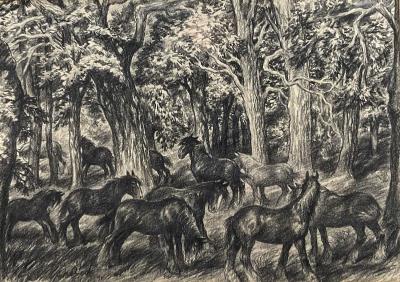 Passing through the Forest