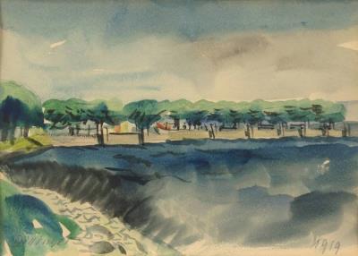 Coastal landscape