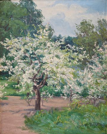 Flowering fruit trees