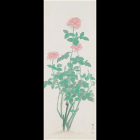 Rose Color
