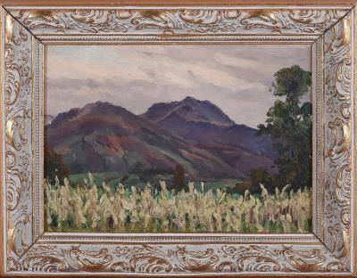 Landscape