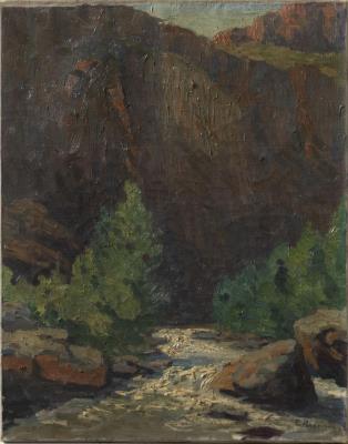 Canyon scene with trees around a rocky flowing stream